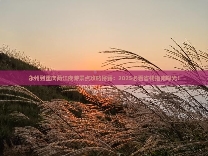 永州到重庆两江夜游景点