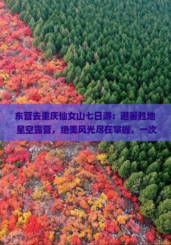 东营去重庆仙女山七日游 东营去重庆仙女山七日游