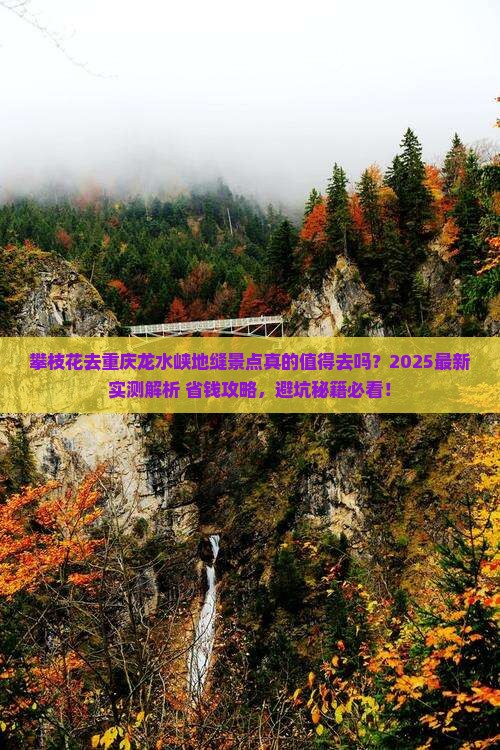 攀枝花去重庆龙水峡地缝景点
