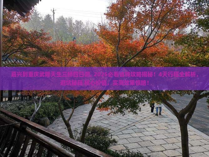 嘉兴到重庆武隆天生三桥四日游