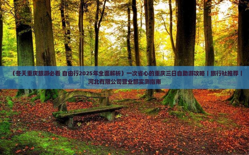 冬天去重庆三日游