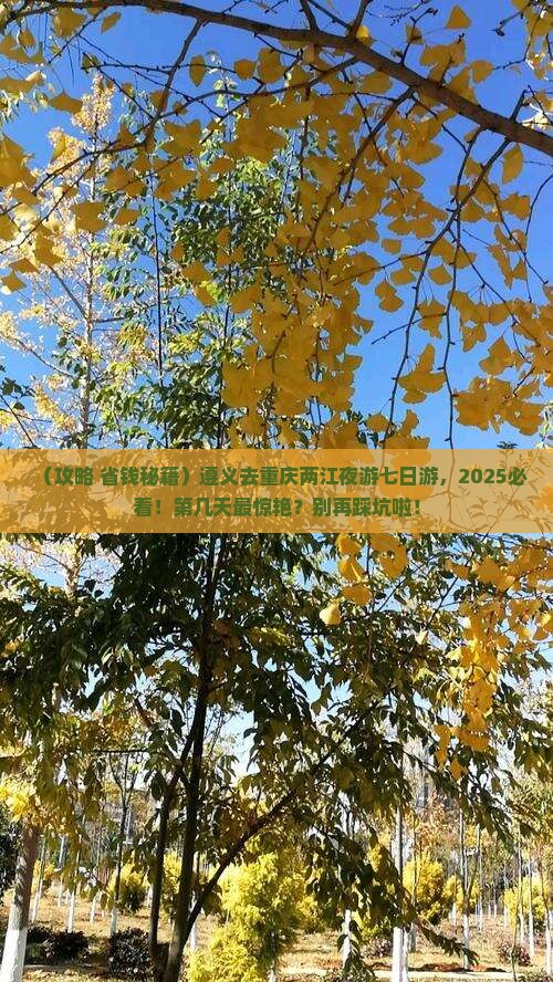 遵义去重庆两江夜游七日游
