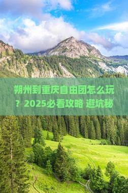 朔州到重庆自由团
