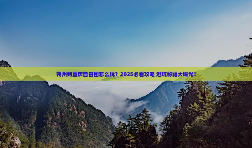 朔州到重庆自由团