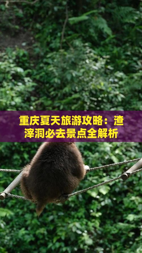 夏天去重庆渣滓洞旅游