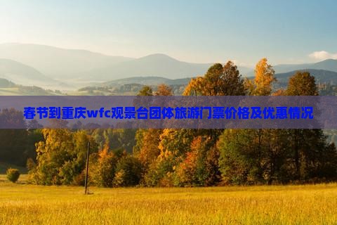 春节到重庆wfc观景台团体旅游