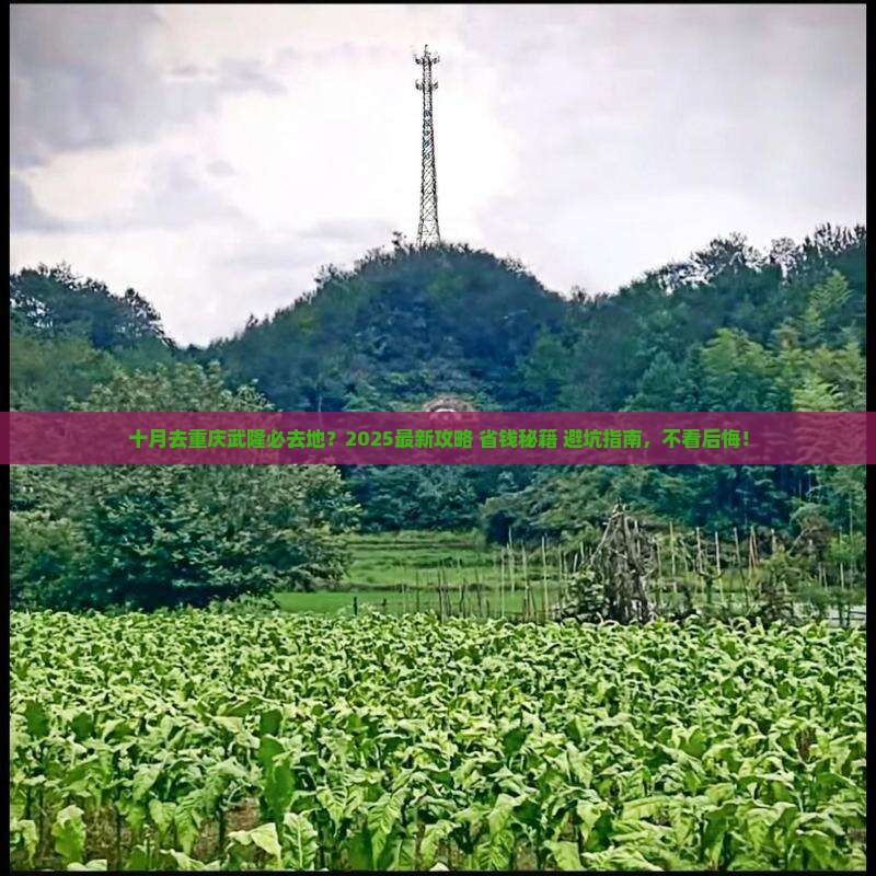 十月去重庆武隆必去地