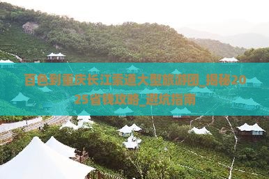 百色到重庆长江索道大型旅游团