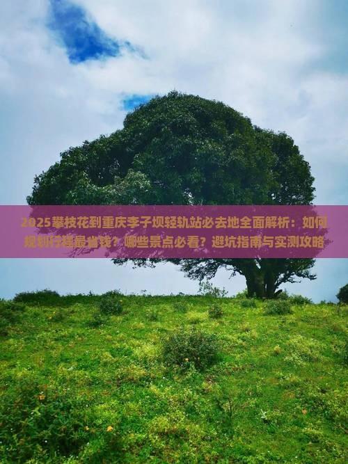 攀枝花到重庆李子坝轻轨站必去地