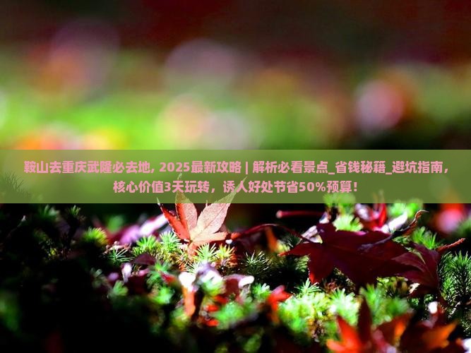 鞍山去重庆武隆必去地