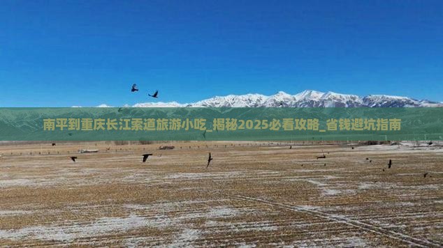 南平到重庆长江索道旅游小吃