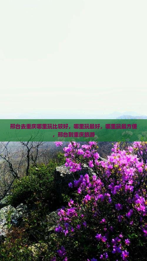 邢台去重庆哪里玩