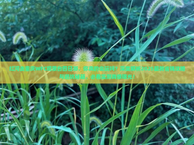 红河去重庆wfc观景台四日游