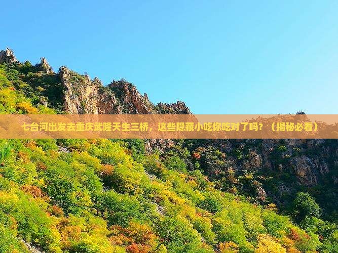 七台河去重庆武隆天生三桥旅游小吃