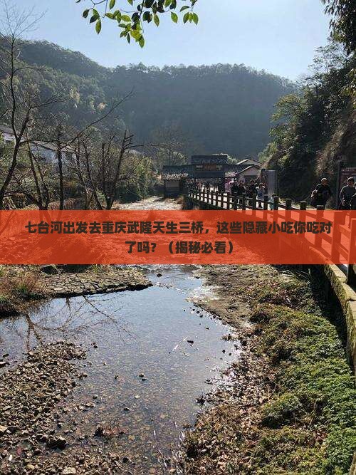 七台河去重庆武隆天生三桥旅游小吃