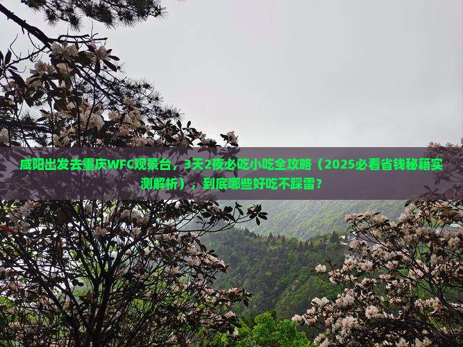 咸阳到重庆wfc观景台旅游小吃