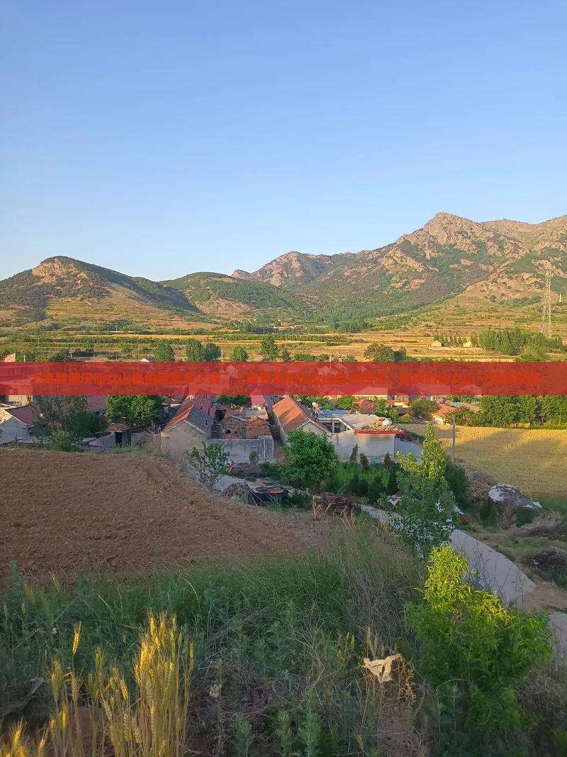 上海到重庆仙女山自由团