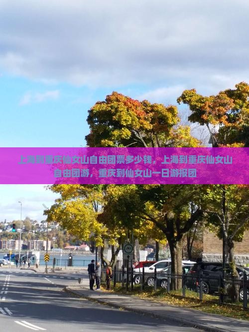 上海到重庆仙女山自由团
