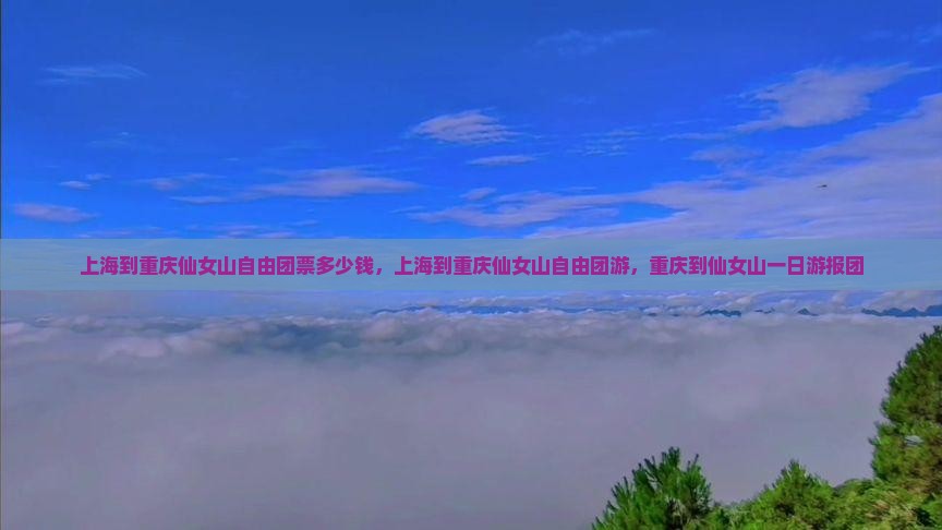 上海到重庆仙女山自由团