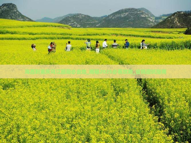 海西到重庆乌江画廊必去地