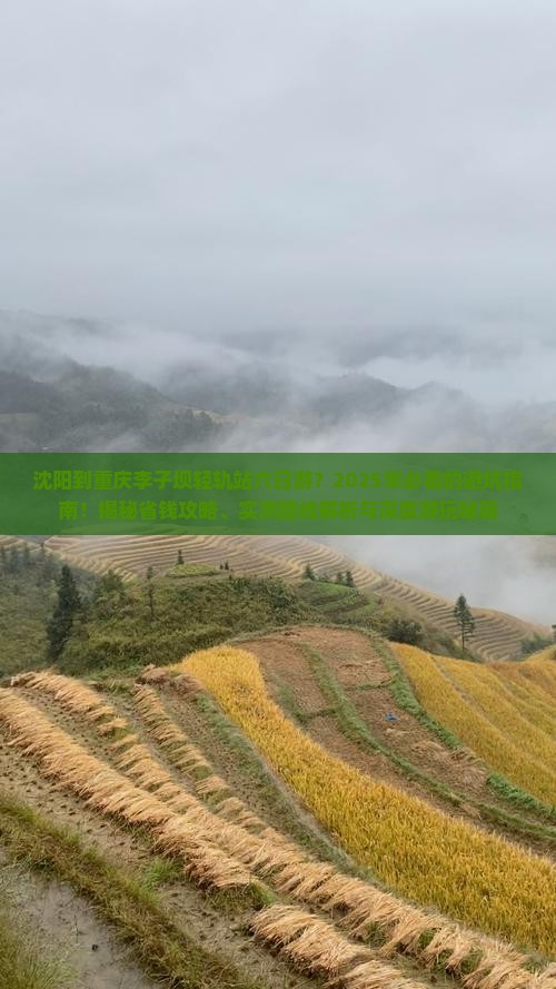 沈阳到重庆李子坝轻轨站六日游