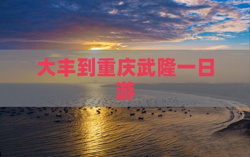 大丰到重庆武隆一日