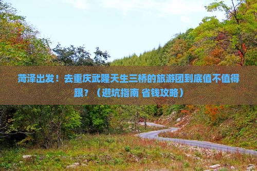 菏泽去重庆武隆天生三桥大型旅游团