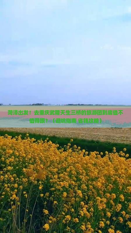 菏泽去重庆武隆天生三桥大型旅游团