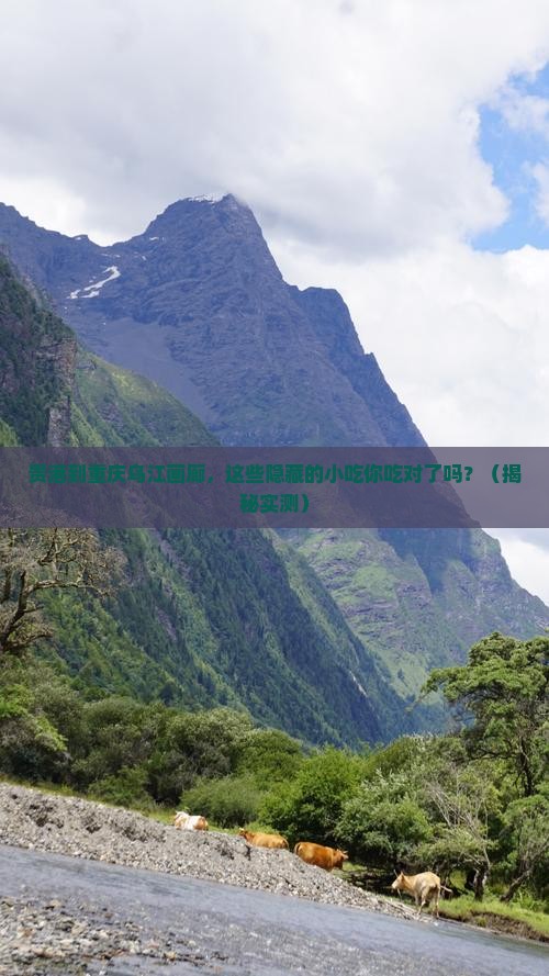 贵港到重庆乌江画廊旅游小吃