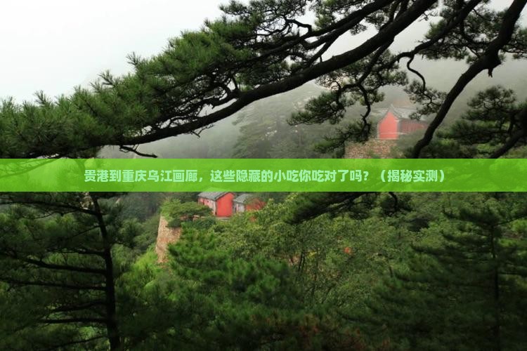 贵港到重庆乌江画廊旅游小吃