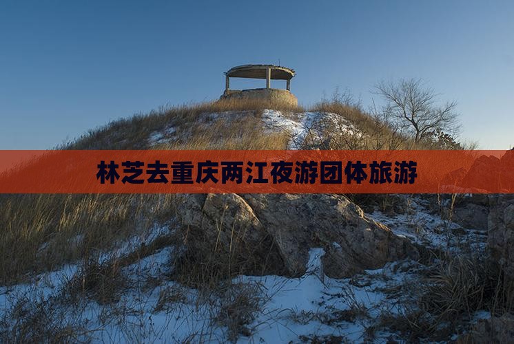 林芝去重庆两江夜游团体旅游