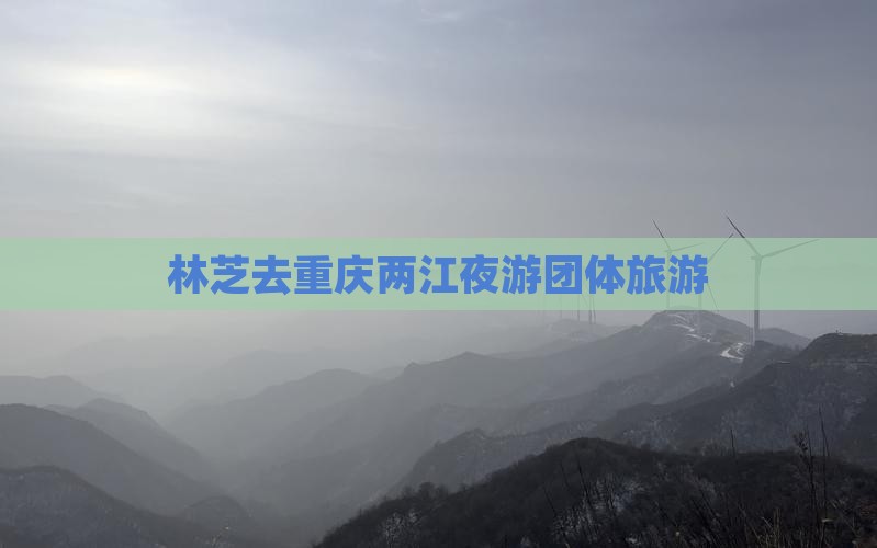 林芝去重庆两江夜游团体旅游