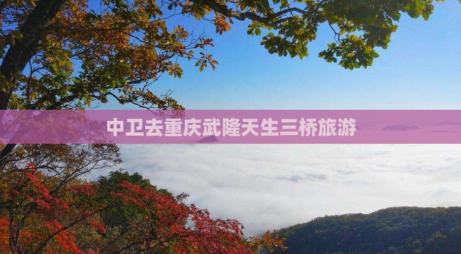 中卫去重庆武隆天生三桥旅行社