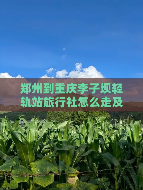 郑州到重庆李子坝轻轨站旅行社