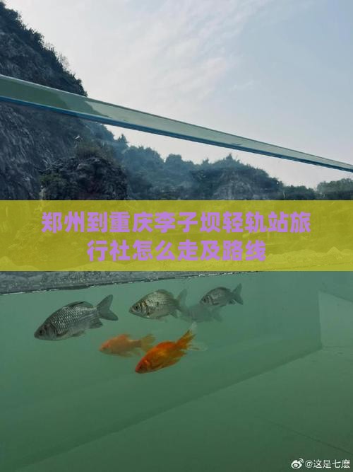 郑州到重庆李子坝轻轨站旅行社