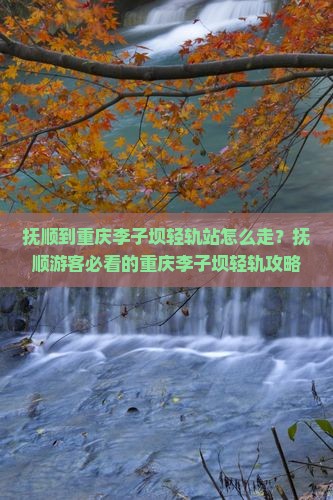 抚顺到重庆李子坝轻轨站个人游