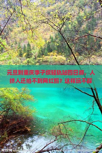 元旦到重庆李子坝轻轨站四日游
