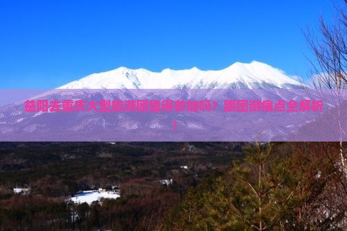 益阳去重庆大型旅游团