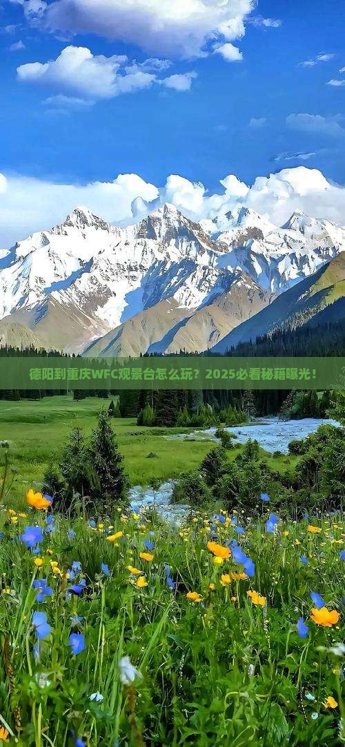 德阳到重庆wfc观景台旅游