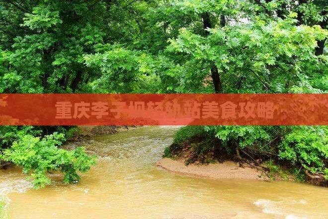 苏州去重庆李子坝轻轨站旅游小吃