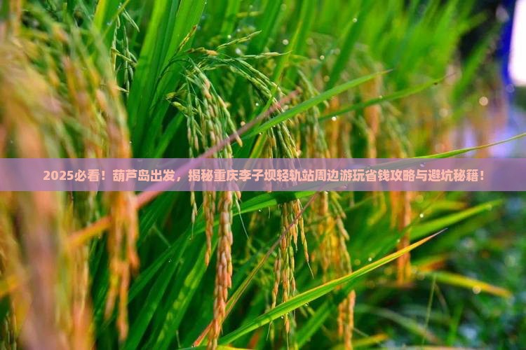 葫芦岛去重庆李子坝轻轨站哪里玩