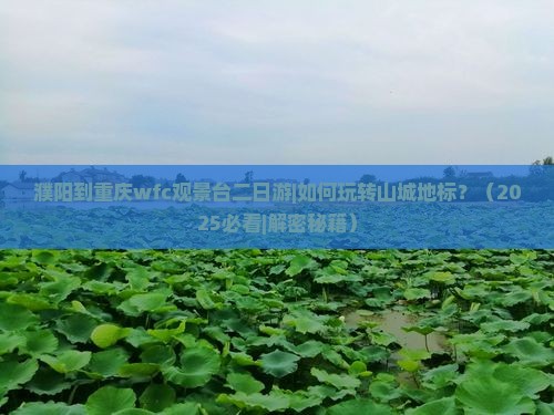 濮阳到重庆wfc观景台二日游