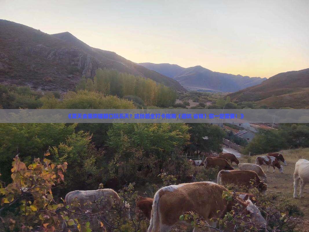 夏天到重庆磁器口五日游