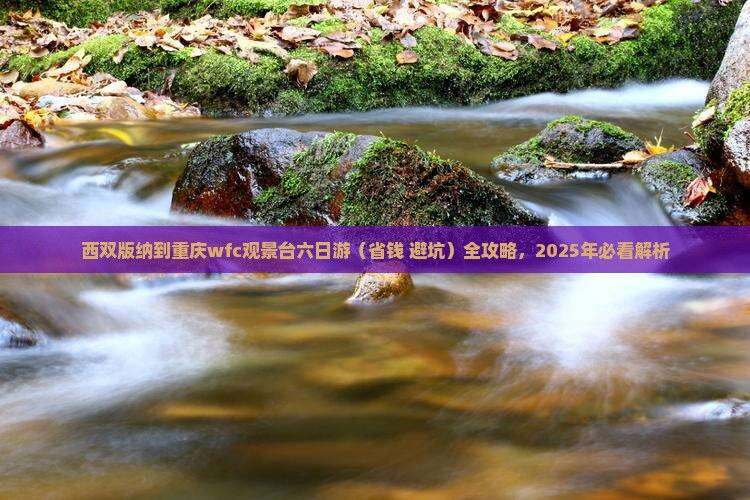西双版纳到重庆wfc观景台六日游