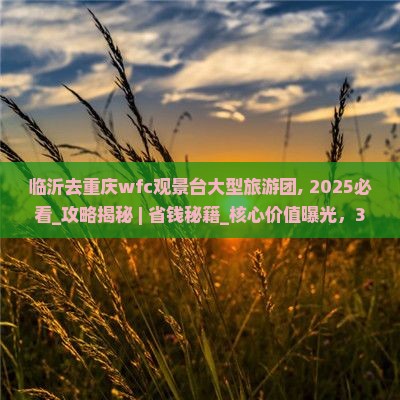 临沂去重庆wfc观景台大型旅游团