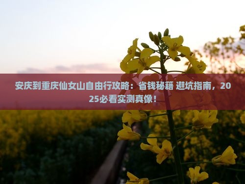 安庆到重庆仙女山自由行