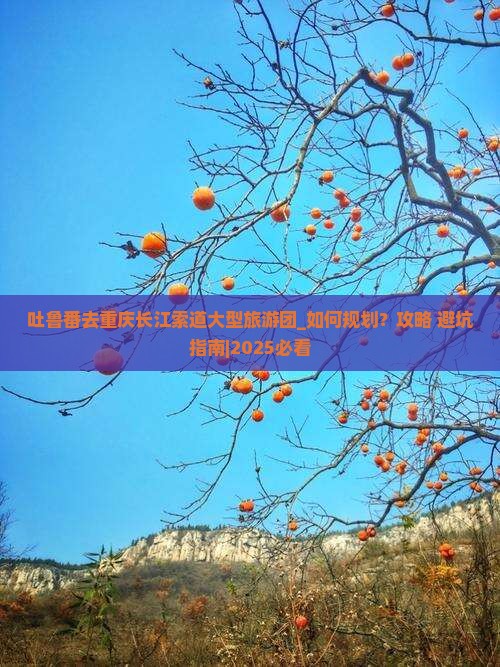 吐鲁番去重庆长江索道大型旅游团