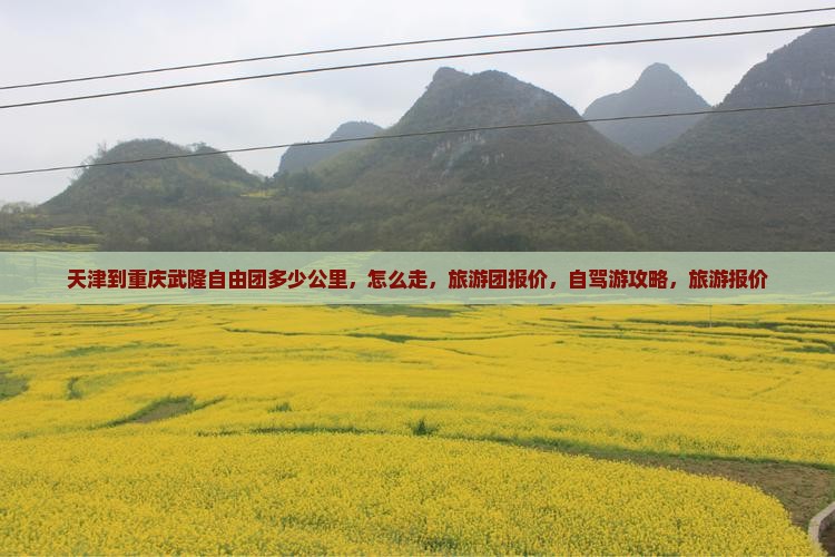 天津到重庆武隆自由团