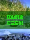保山到重庆三日游