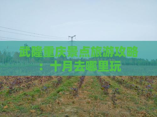 十月去重庆武隆哪里玩